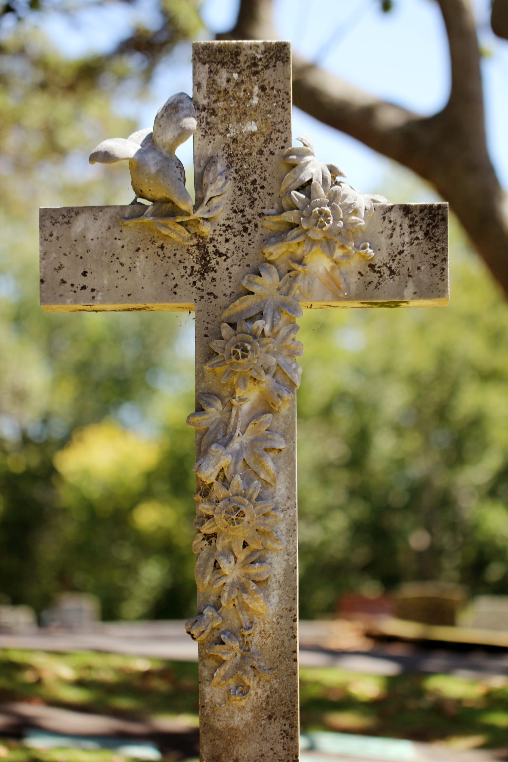 Una foto hermosa de una cruz de piedra con una talla de una enredadera y un pájaro.